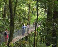 Arenal Volcano at Dusk & Tabacon Hot Springs Tour