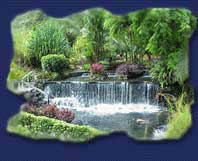 Arenal Volcano at Dusk & Tabacon Hot Springs Tour