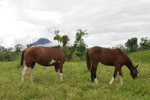 Horseback Riding La Fortuna