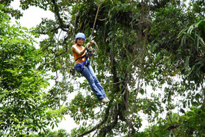 Arenal Canopy Tour